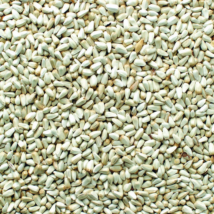 Premium Safflower Bird Seed High Protein Energy Feed