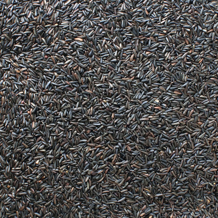 Premium Nyger Seed High Oil Bird Feed for Finches and Canaries