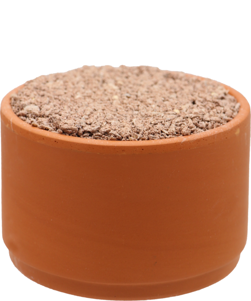 Versele-Laga Red Pickstone Mineral Supplement Clay Pot for Pigeons