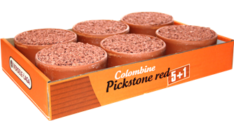 Versele-Laga Red Pickstone Mineral Supplement Clay Pot for Pigeons