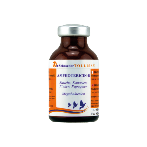Amphotericin-B Treatment for Avian Megabacteria and Fungal Infections 20ml