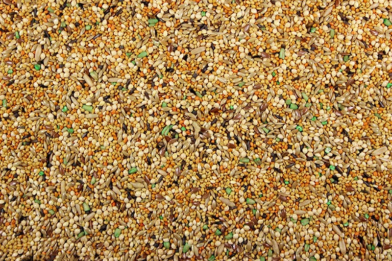 Finch Plus Premium Vitamin Enriched Bird Seed Mix by Leach Grain