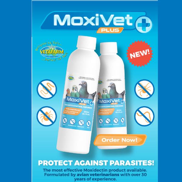 Vetafarm MoxiVet Plus Complete Bird Parasite Control for Mites and Worms