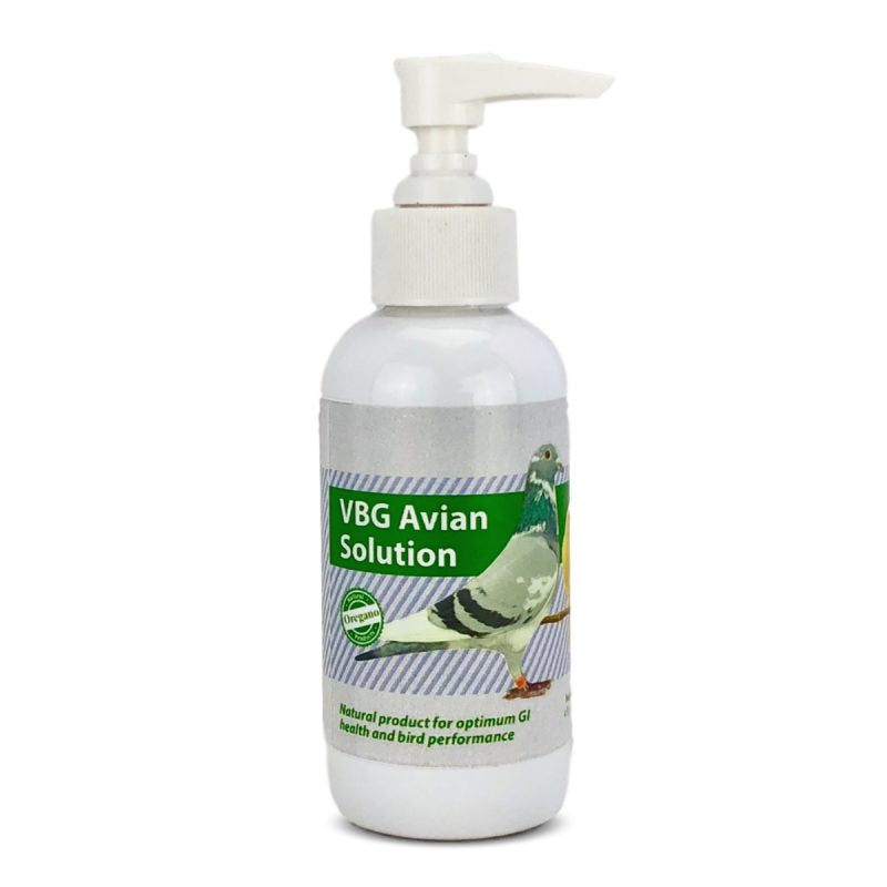 VBG Avian Solution Natural Oregano Supplement for Bird GI Health