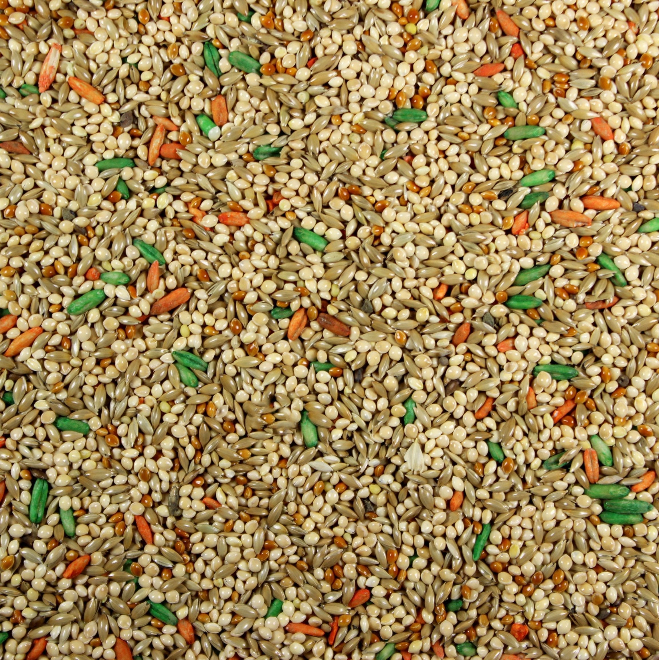 Leach Grain and Milling Parakeet Plus Premium Vitamin Seed Mix