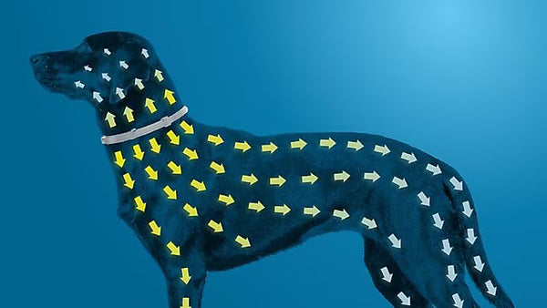 Works Through Contact